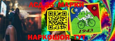 кокс Кингисепп