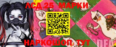кокс Кингисепп
