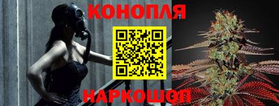 кокс Кингисепп