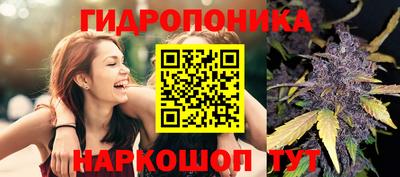 шишки Кинель
